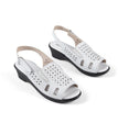 White / 37