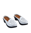 White / 37