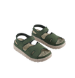 Olive / 37